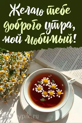 Открытка доброго утра и хорошего дня - скачать бесплатно