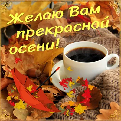 Картинки С добрым утром с цветами 🌹 - скачать (165 шт.)