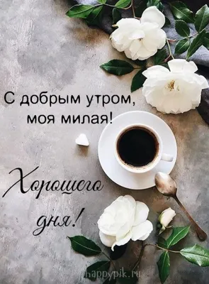 Доброе утро в субботу - лучшие открытки (63 ФОТО)
