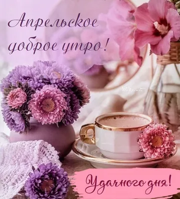 Красивые картинки Доброе утро ☀️☕ (618 шт.)