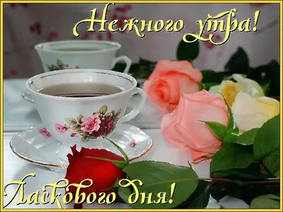 https://gas-kvas.com/grafic/oboi/s-nadpisju/9646-oboi-s-dobrym-utrom-krasivye-s-nadpisjami-39-foto.html