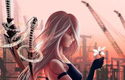 В NieR: Automata исправлены ошибки на картах от AMD - новости на  GameGuru.ru.