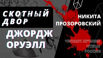 Фото Никиты Прозоровского: история успеха в глазах