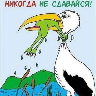 Картинки на заставку мотивация - 64 фото