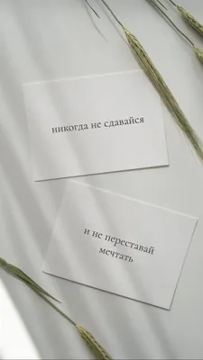 Академия Онлайн Бизнеса Yudgin