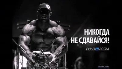 Книжный мир (@knizhniy.mir) • Instagram photos and videos