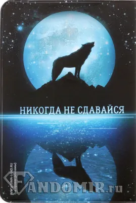 Новый Ной [Джеральд Даррелл] (fb2) читать онлайн | КулЛиб электронная  библиотека