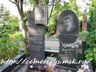 В хорошем качестве фотография Николая Рыбникова: сохранение эстетики и деталей