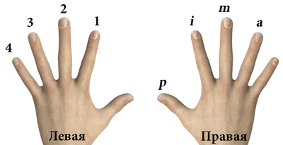 Ноты | Guitar Sticker