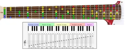 Как играть на гитаре по нотам. Базовые термины. Расположение нот на грифе –  GuitarMaestro.ru