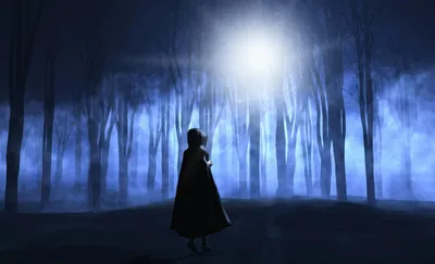Искатели могил, 2010 — описание, интересные факты — Кинопоиск