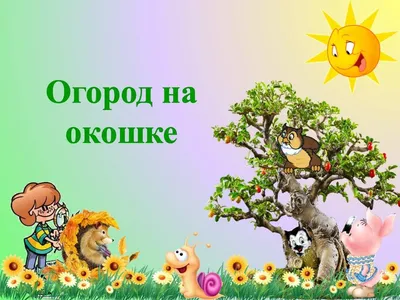 Конкурс \"Огород на подоконнике\" / Новости ДОУ / Детский сад №20 Липецк