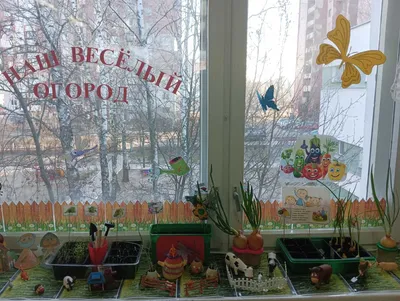 Фотоотчет «Огород на окне. Коллективное фермерское хозяйство «Сажалкино,  Рыхлилкино, Копалкино» (6 фото). Воспитателям детских садов, школьным  учителям и педагогам - Маам.ру