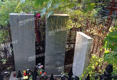 Изображения Олега Даля в формате png
