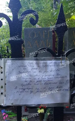 Олег Даль на фотографии: совершенство таланта и обаяние
