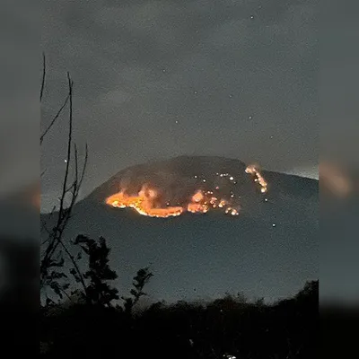 Загадочная красота Олеси Бойко на фото