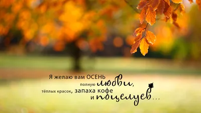 Осенние картинки \"Спокойной ночи!\" (178 шт.)