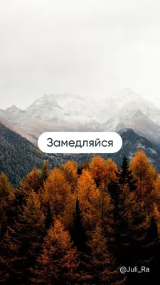 Картинки на обои для телефона красивые осенние (68 фото) » Картинки и  статусы про окружающий мир вокруг