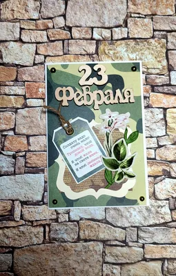Открытки солдатам СВО рисуют петровские школьники к 23 февраля | Сельские  зори