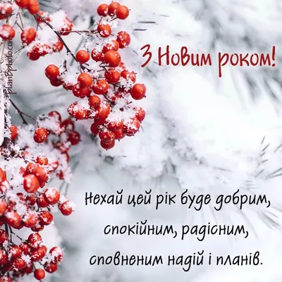 Новый год 2019: лучшие поздравления в стихах на украинском языке - Телеграф
