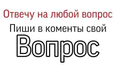 Кинолог с теплым сердцем, Саша - Давно не общались с вами, поэтому делаю  такой пост - вопрос/ответ. Можете задавать любой вопрос, даже несколько!  Всем отвечу 🧡 | Facebook