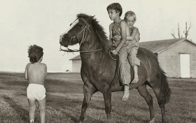 Эксклюзивные фотографии Оуэна Уилсона в хорошем качестве только для вас.