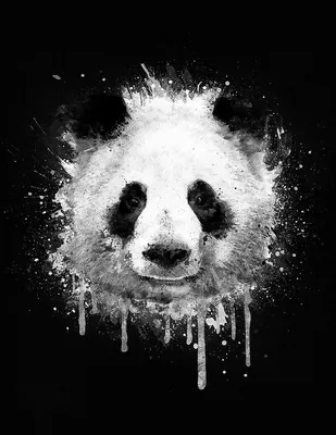 Pin by Лютая_Например on Love Pandas | Panda art, Abstract, Painting