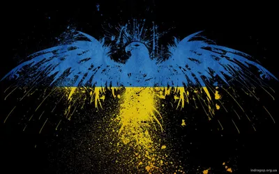 Сувенір на робочий стіл Герб України. Патріотичні сувеніри з дерева.  (ID#1931974519), цена: 40 ₴, купить на Prom.ua