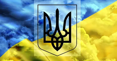 Скачать обои \"Подсолнухи\" на телефон в высоком качестве, вертикальные  картинки \"Подсолнухи\" бесплатно