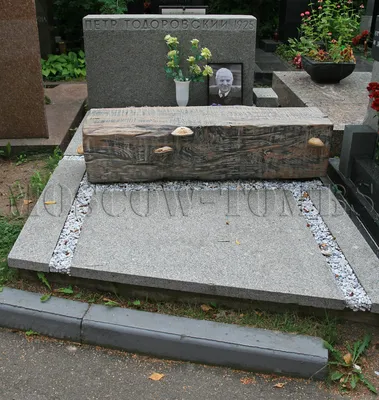 Фото Петра Тодоровского - красивые рисунки