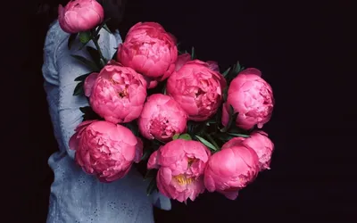 Пионы обои на телефон | Flower phone wallpaper, Flowers photography  wallpaper, Flower wallpaper