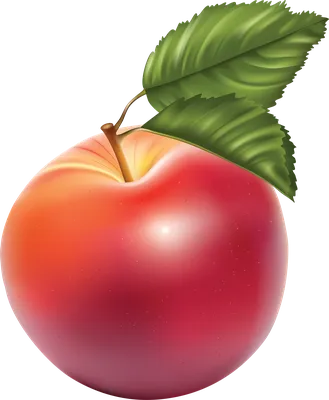 Free download | HD PNG irasol цветы клипарт на прозрачном фоне PNG image  with transparent background | TOPpng