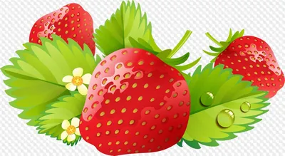 Free: На Прозрачном Фоне - Transparent Frame For Boy Png - nohat.cc