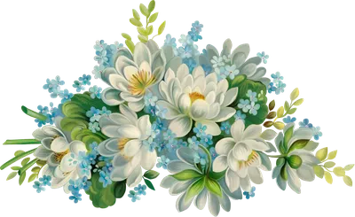 Seashell PNG transparent image download, size: 2207x1484px