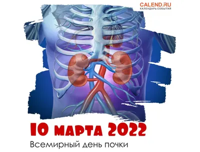 Почки Фотография, картинки, изображения и сток-фотография без роялти. Image  35806701