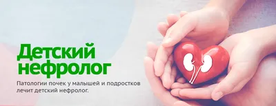 Концепция здоровые почки стоковое фото. изображение насчитывающей  внимательность - 143089340