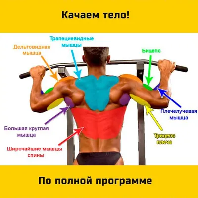 Как начать подтягиваться на турнике: пошаговая инструкция