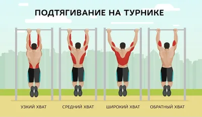 Какие мышцы работают при подтягивании на турнике? - DomSporta.com