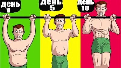 Резиновая петля для тренировок спорта подтягивания 20-59 кг Atletika24  6755428 купить в интернет-магазине Wildberries