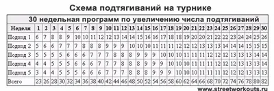 Подтягивания на турнике и тренировки на брусьях ⇒ Программа подтягиваний и  тренировок на брусьях ᐉ UA-Футбол