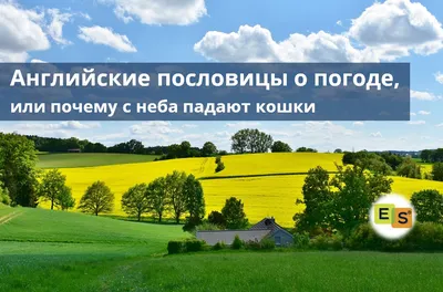 Картинки на тему погода для детей на английском (69 фото) » Картинки и  статусы про окружающий мир вокруг