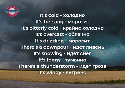 Купить Умница® Animals. Развивающие карточки на английском языке для детей  с озвучкой носителем языка в Москве | Умница