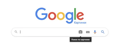 Как искать картинку в поисковике Google | Photostudy.me