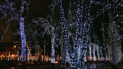 Обои экран, трещины, полосы, разбитый картинки на рабочий стол, фото  скачать бесплатно