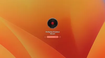 Как поставить видео на обои телефона Android или iPhone: несколько способов