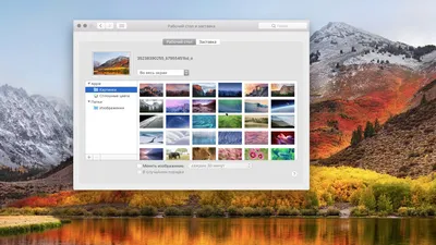 Как установить свою картинку в качестве обоев для рабочего стола в macOS -  YouTube