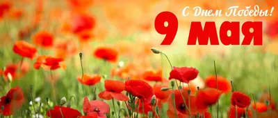 Трогательные поздравления с 9 Мая в прозе и в стихах