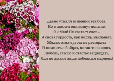 Поздравление с днем Победы 9 Мая (письмо-треугольник )крафт пакет купить в  интернет-магазине Ярмарка Мастеров по цене 30 ₽ – HZS4ZRU | Прикольные  подарки, Псков - доставка по России