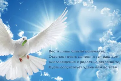 Музыкальные поздравления с Благовещением Богородицы. | Открытки,  Поздравительные открытки, Праздник
