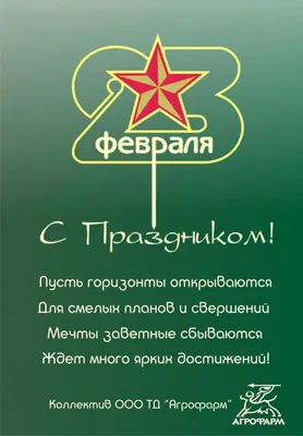Поздравление с 23 февраля — Азовская городская Дума